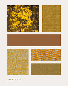 Collezione Spicy Yellow
