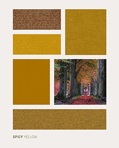 Collezione Spicy Yellow