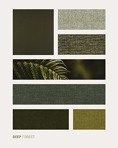 Collezione Deep Forest